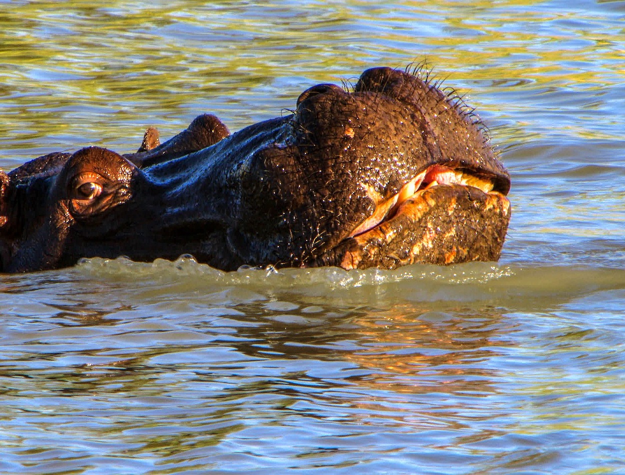 NAMIBIA, OKAVANGO Y CATARATAS VICTORIA