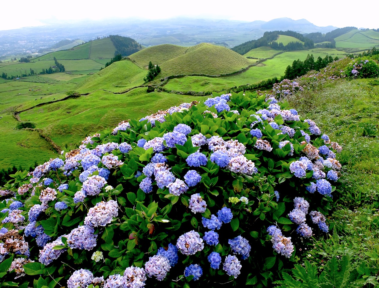 AZORES II (Portugal)