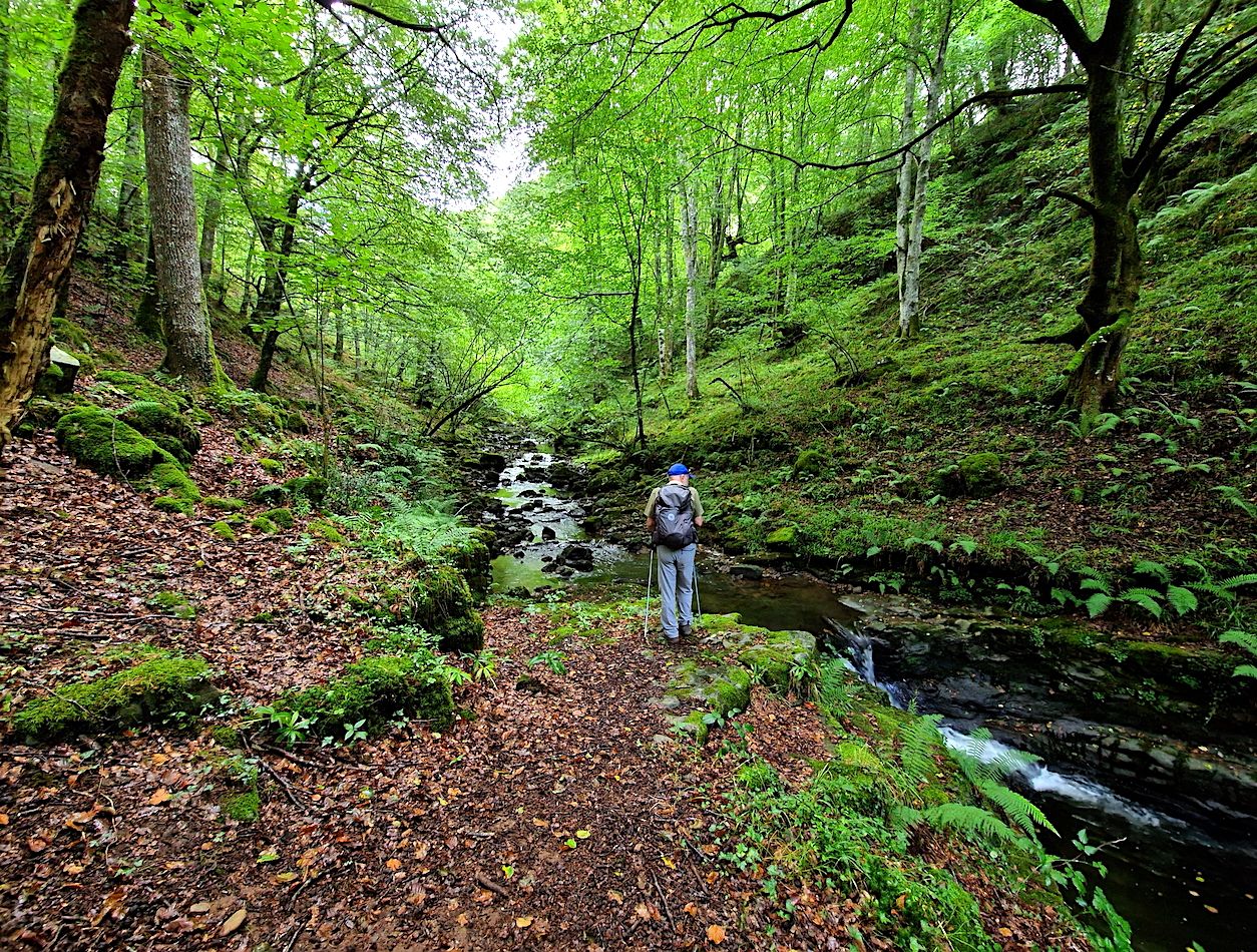 DESCUBRE CANTABRIA EN OTOÑO