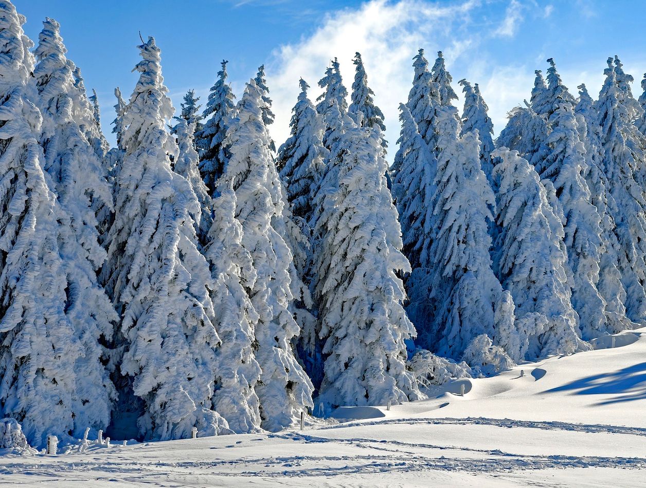 VAL D'ARAN (Pirineo catalán)